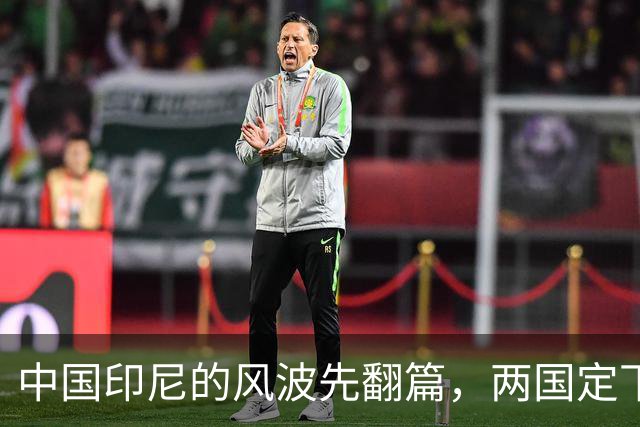 中国印尼的风波先翻篇，两国定下5年之约，杀鸡取卵的蠢事别干了